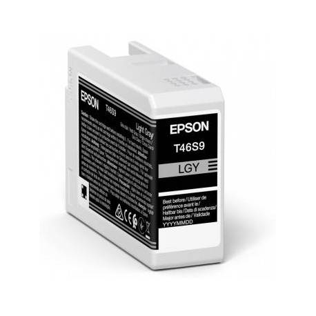 CARTUCHO TINTA EPSON SINGLEPACK LIGHT GRIS