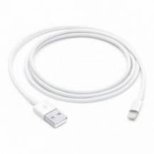 CABLE LIGHTNING A USB-C MACHO MACHO 1M